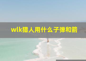 wlk猎人用什么子弹和箭