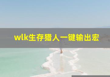 wlk生存猎人一键输出宏