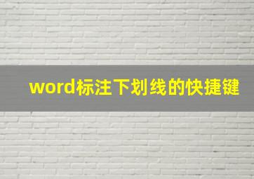 word标注下划线的快捷键