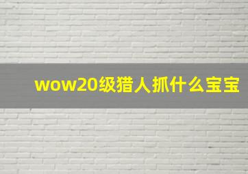 wow20级猎人抓什么宝宝