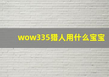 wow335猎人用什么宝宝