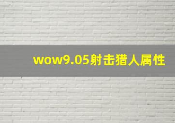 wow9.05射击猎人属性