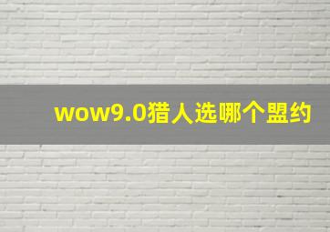 wow9.0猎人选哪个盟约