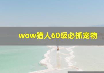 wow猎人60级必抓宠物