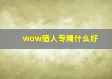 wow猎人专精什么好