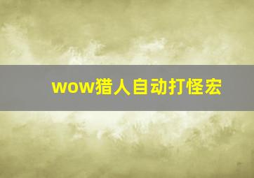 wow猎人自动打怪宏