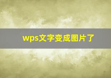 wps文字变成图片了