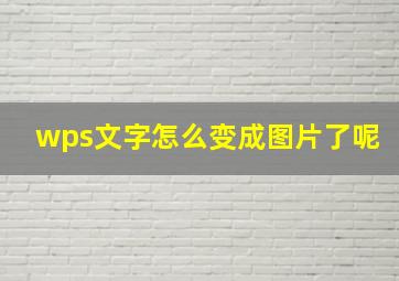 wps文字怎么变成图片了呢