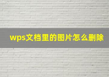 wps文档里的图片怎么删除