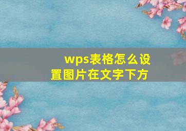 wps表格怎么设置图片在文字下方