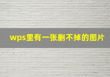 wps里有一张删不掉的图片