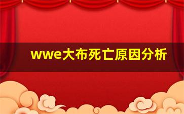 wwe大布死亡原因分析