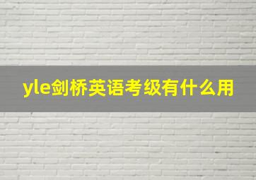 yle剑桥英语考级有什么用