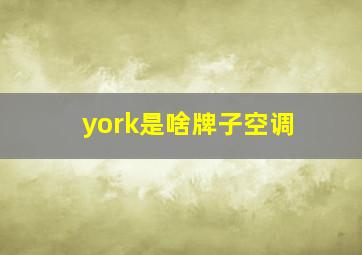 york是啥牌子空调