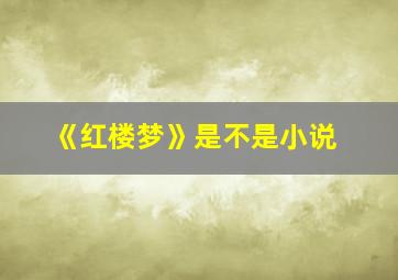 《红楼梦》是不是小说