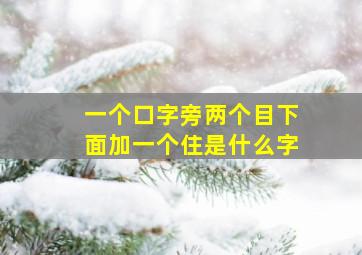 一个口字旁两个目下面加一个住是什么字