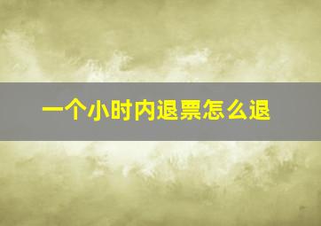 一个小时内退票怎么退