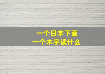 一个日字下面一个木字读什么