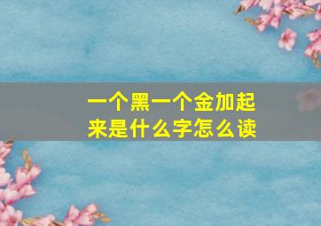 一个黑一个金加起来是什么字怎么读