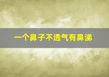 一个鼻子不透气有鼻涕