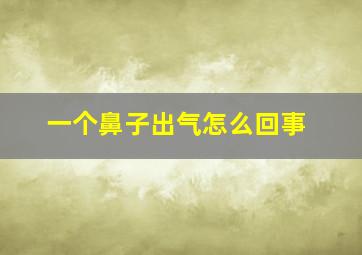 一个鼻子出气怎么回事