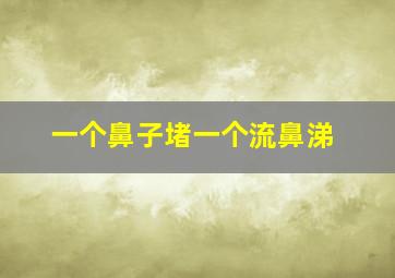 一个鼻子堵一个流鼻涕