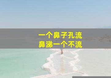 一个鼻子孔流鼻涕一个不流