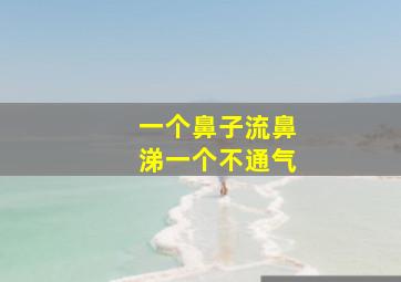 一个鼻子流鼻涕一个不通气