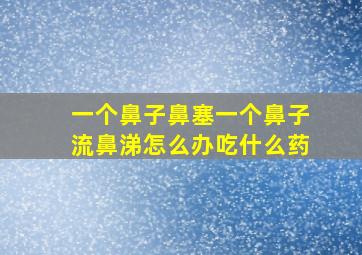 一个鼻子鼻塞一个鼻子流鼻涕怎么办吃什么药