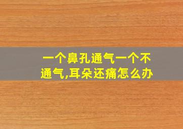 一个鼻孔通气一个不通气,耳朵还痛怎么办