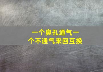 一个鼻孔通气一个不通气来回互换