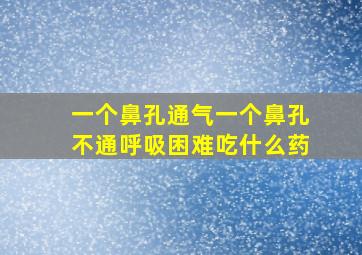 一个鼻孔通气一个鼻孔不通呼吸困难吃什么药