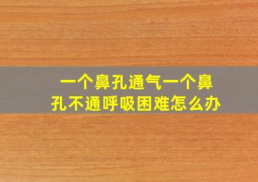 一个鼻孔通气一个鼻孔不通呼吸困难怎么办