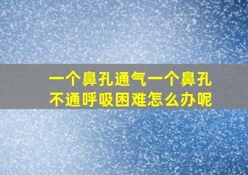 一个鼻孔通气一个鼻孔不通呼吸困难怎么办呢