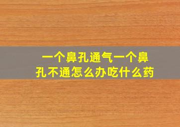 一个鼻孔通气一个鼻孔不通怎么办吃什么药