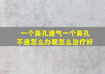 一个鼻孔通气一个鼻孔不通怎么办呢怎么治疗好