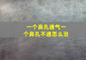 一个鼻孔通气一个鼻孔不通怎么治