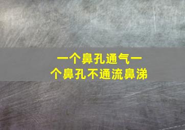 一个鼻孔通气一个鼻孔不通流鼻涕