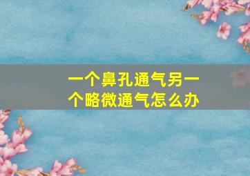 一个鼻孔通气另一个略微通气怎么办