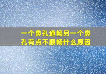 一个鼻孔通畅另一个鼻孔有点不顺畅什么原因