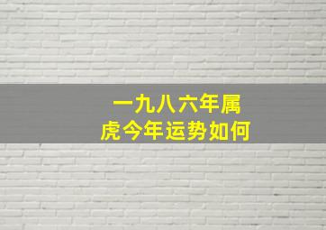 一九八六年属虎今年运势如何