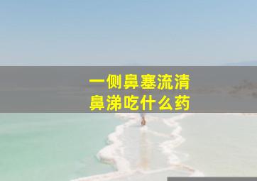 一侧鼻塞流清鼻涕吃什么药