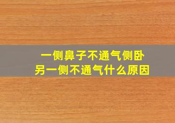 一侧鼻子不通气侧卧另一侧不通气什么原因