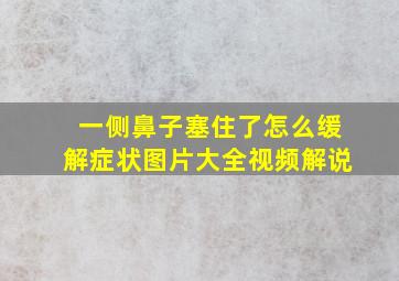 一侧鼻子塞住了怎么缓解症状图片大全视频解说