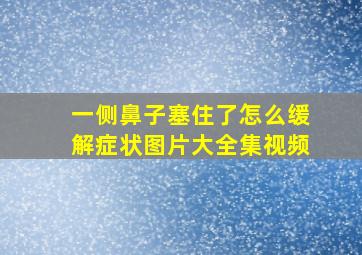 一侧鼻子塞住了怎么缓解症状图片大全集视频