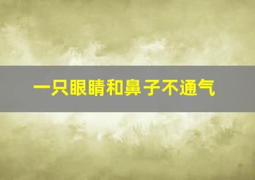 一只眼睛和鼻子不通气