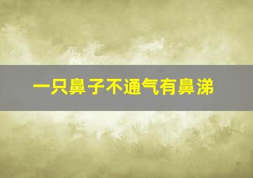 一只鼻子不通气有鼻涕