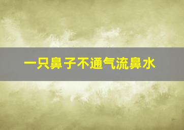 一只鼻子不通气流鼻水