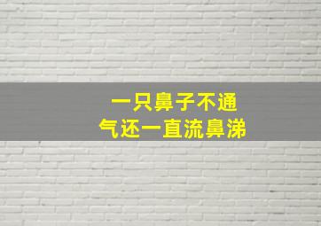 一只鼻子不通气还一直流鼻涕