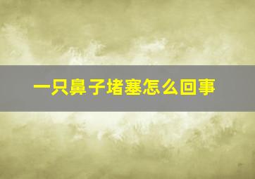 一只鼻子堵塞怎么回事